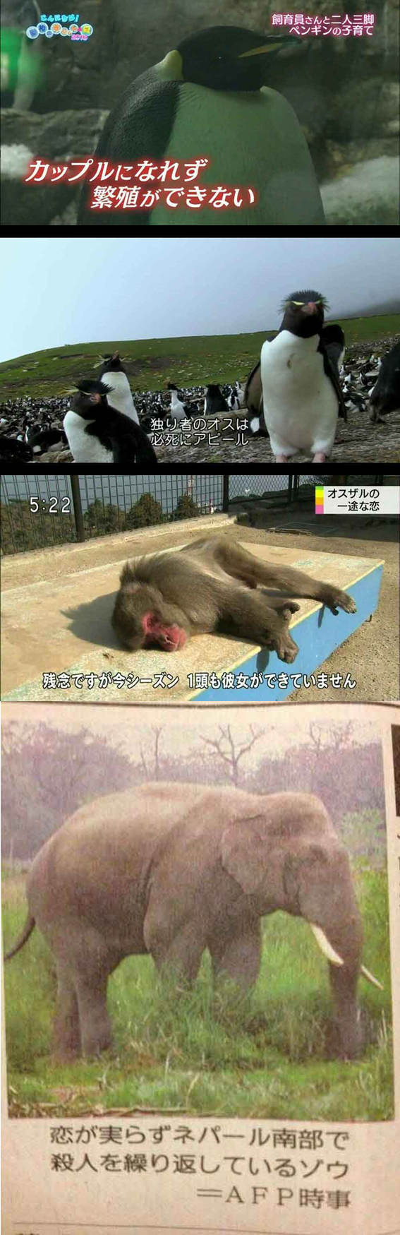 心にグッとくる切ない画像ください