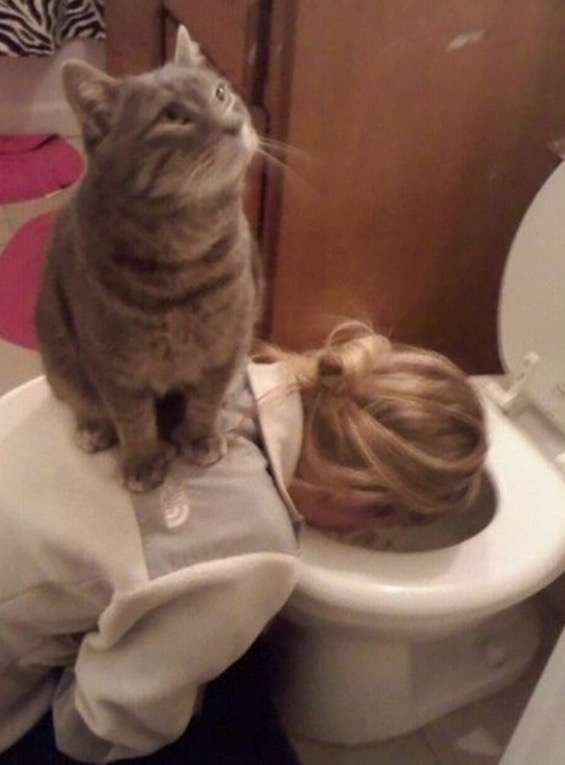どうしてこうなった(笑)?この犬のこだわりが…ちょっとオカシイ