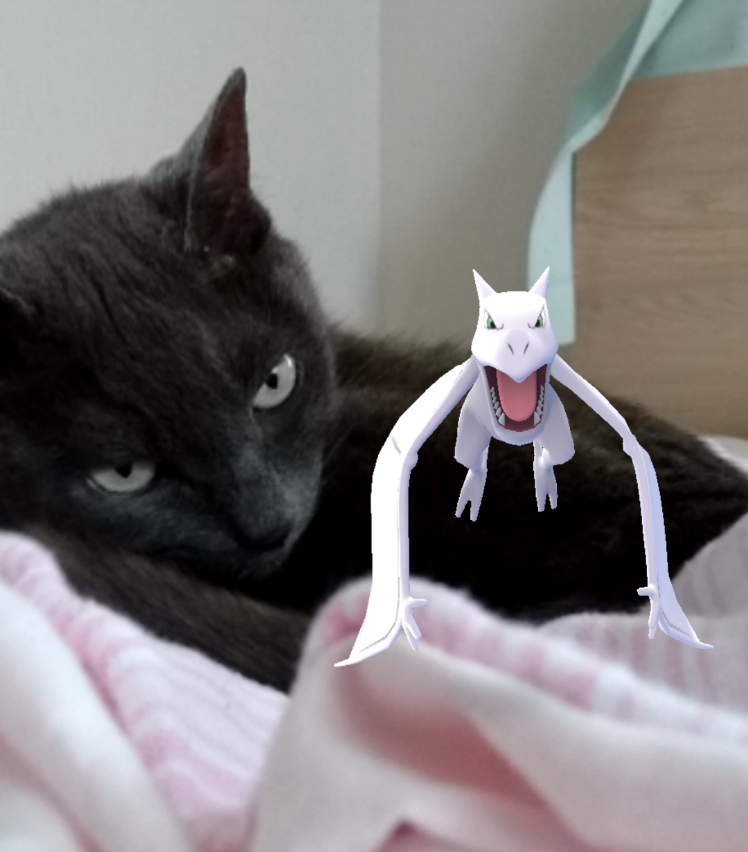 ポケモンGOやってる人！Part.11