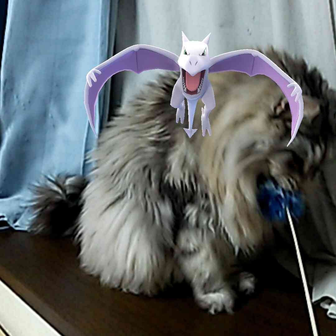 ポケモンGOやってる人！Part.11