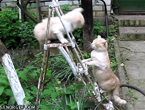 激しいな！(笑)な画像を貼るトピ