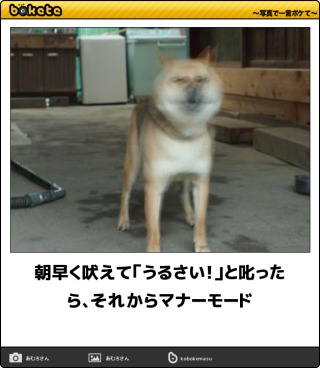 激しいな！(笑)な画像を貼るトピ