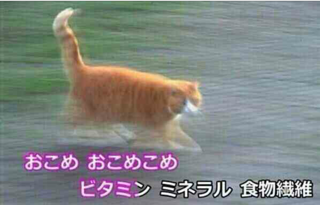 激しいな！(笑)な画像を貼るトピ