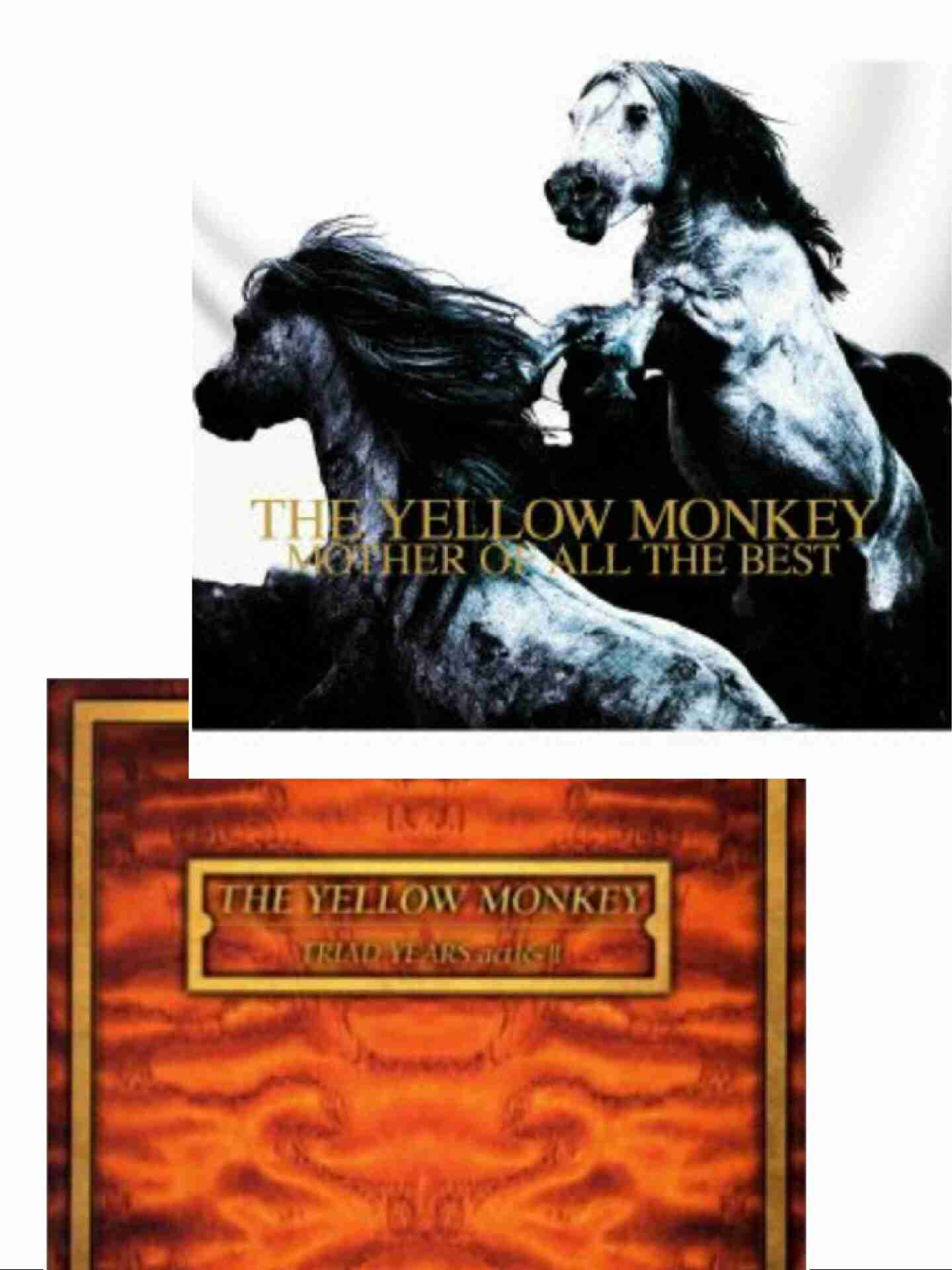 THE YELLOW MONKEYが好きすぎる！！