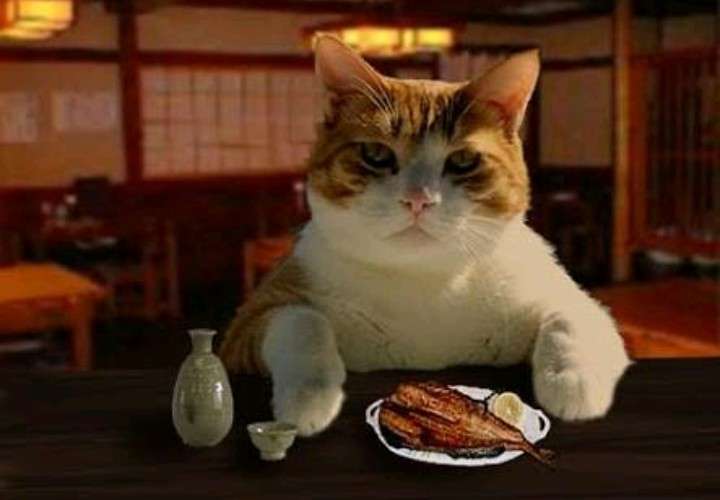 晩酌ってどんな感じで？