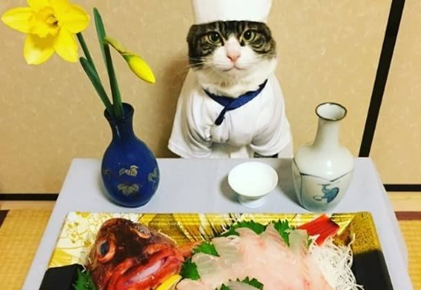 晩酌ってどんな感じで？