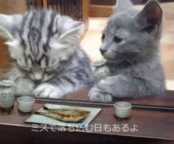 晩酌ってどんな感じで？