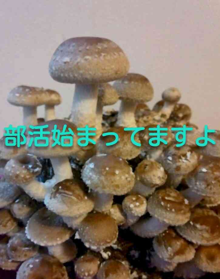 ガルちゃんで使える絵を描いてみませんか？