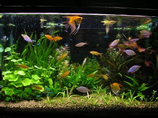 いい女は何を注文する?