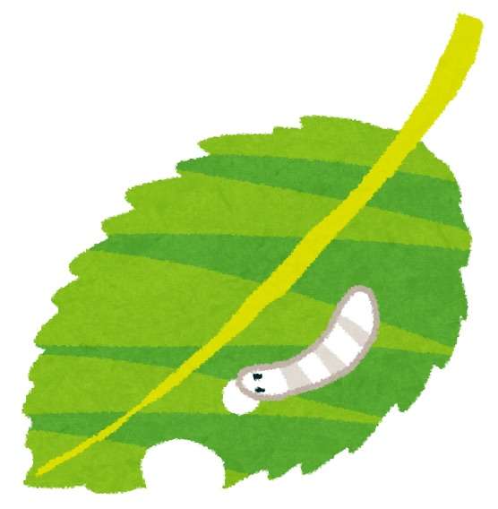 大人になって食べられなくなった物