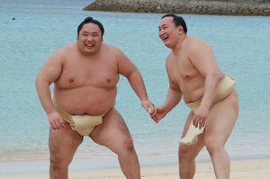 本日の癒しトピです。