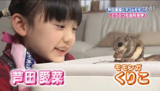 本日の癒しトピです。