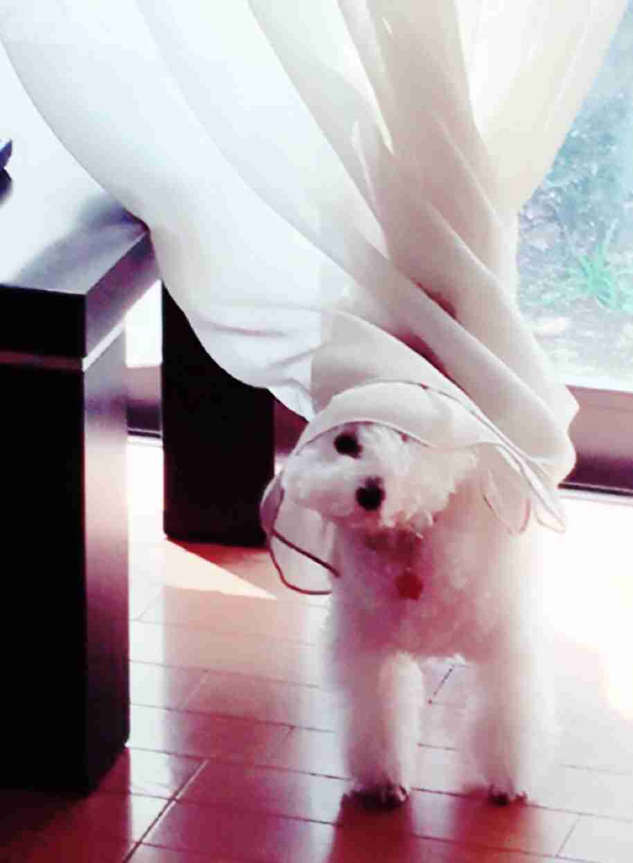 本日の癒しトピです。