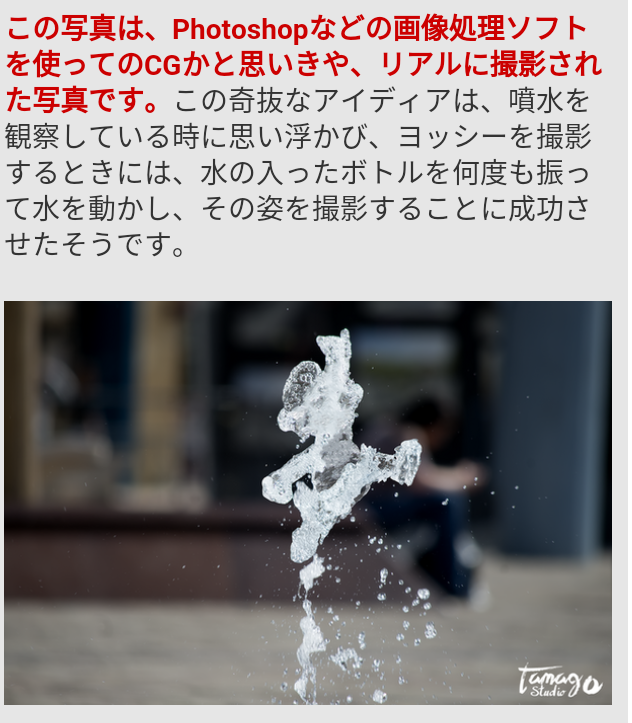本日の癒しトピです。