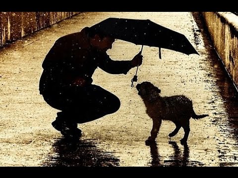 本日の癒しトピです。