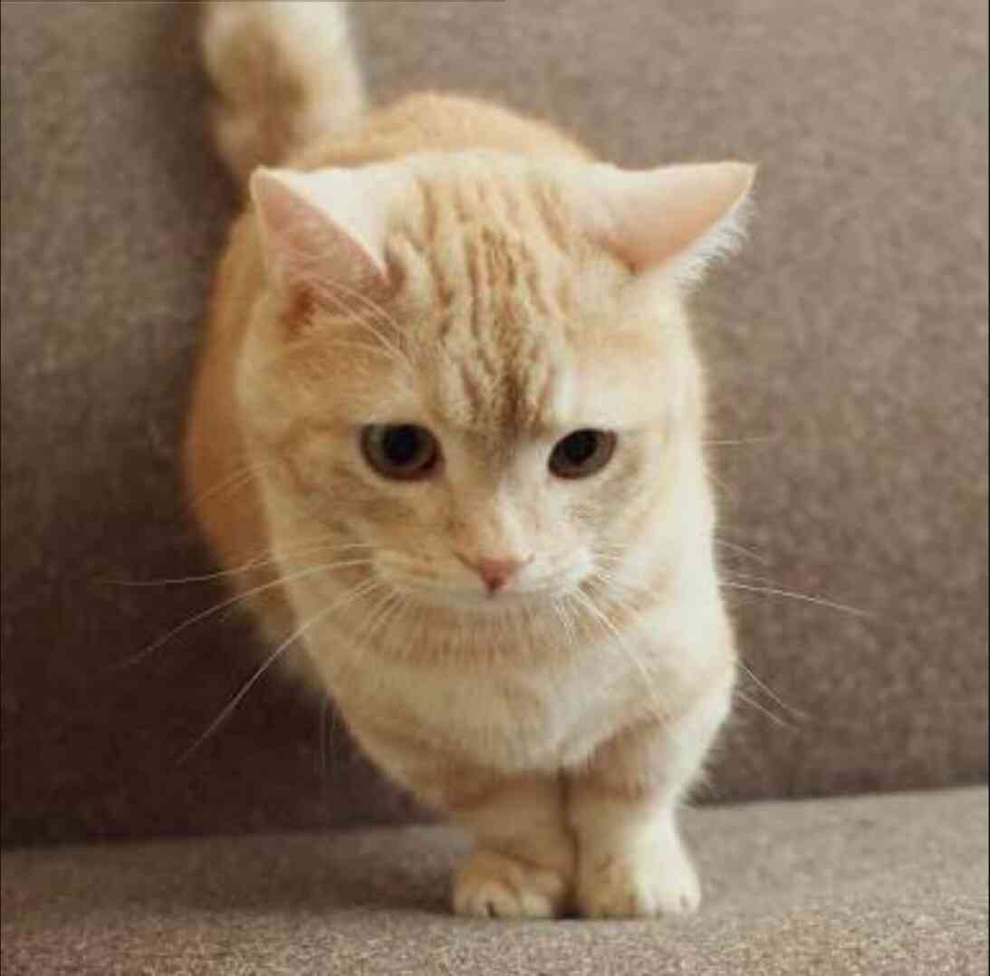 本日の癒しトピです。