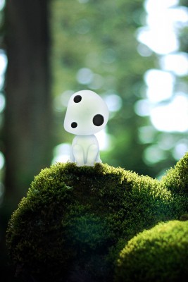 今は亡き人に「ありがとう」を伝えよう