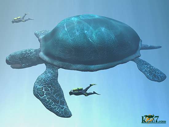 巨大生物の画像を貼っていくトピ