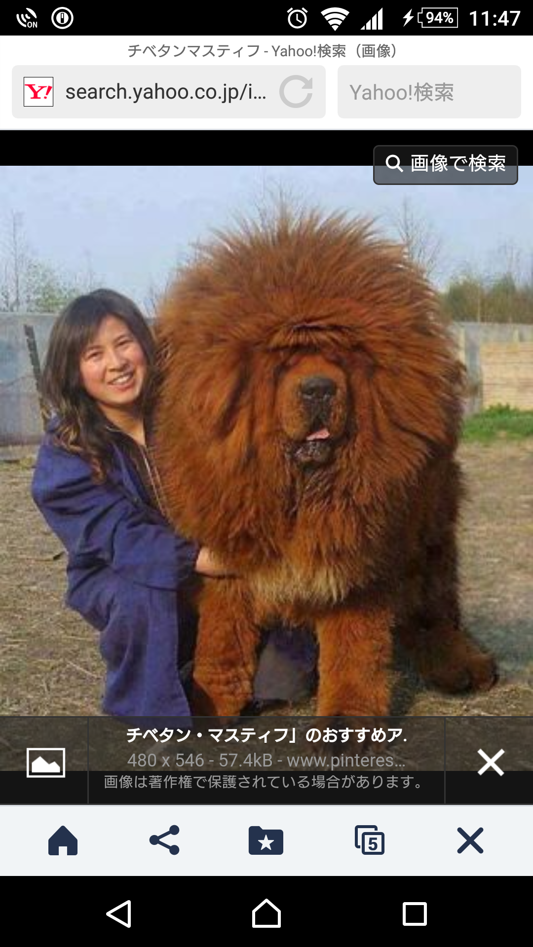 巨大生物の画像を貼っていくトピ