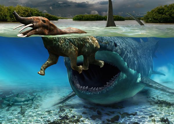 巨大生物の画像を貼っていくトピ