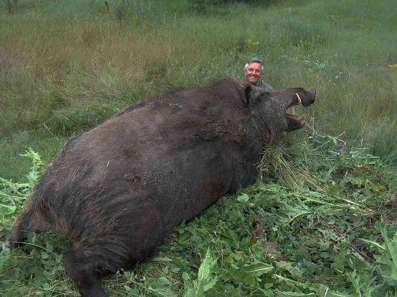 巨大生物の画像を貼っていくトピ