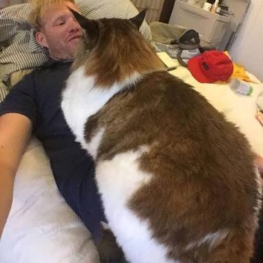 巨大生物の画像を貼っていくトピ