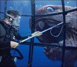 巨大生物の画像を貼っていくトピ
