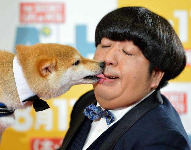 彼氏にしたい お笑い芸人ナンバー1を決めよう !