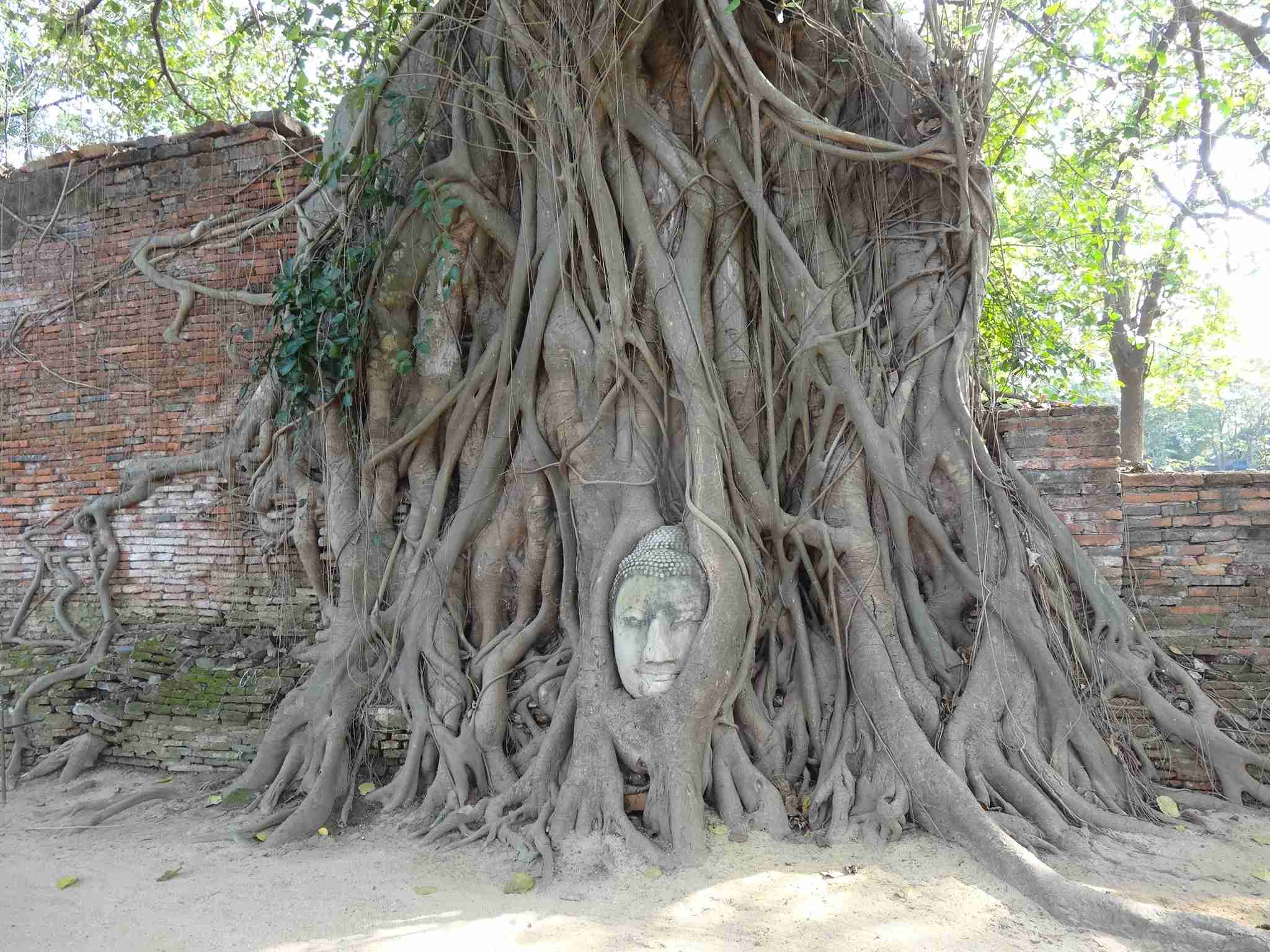 世界の綺麗な街並みや風景が見たい