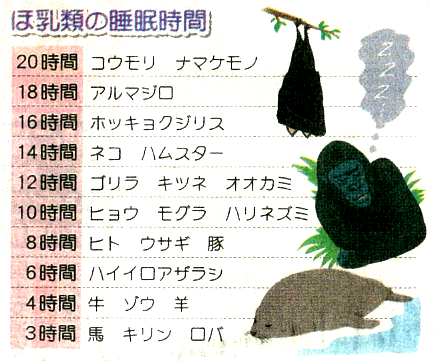 睡眠時間をコントロールしたい！