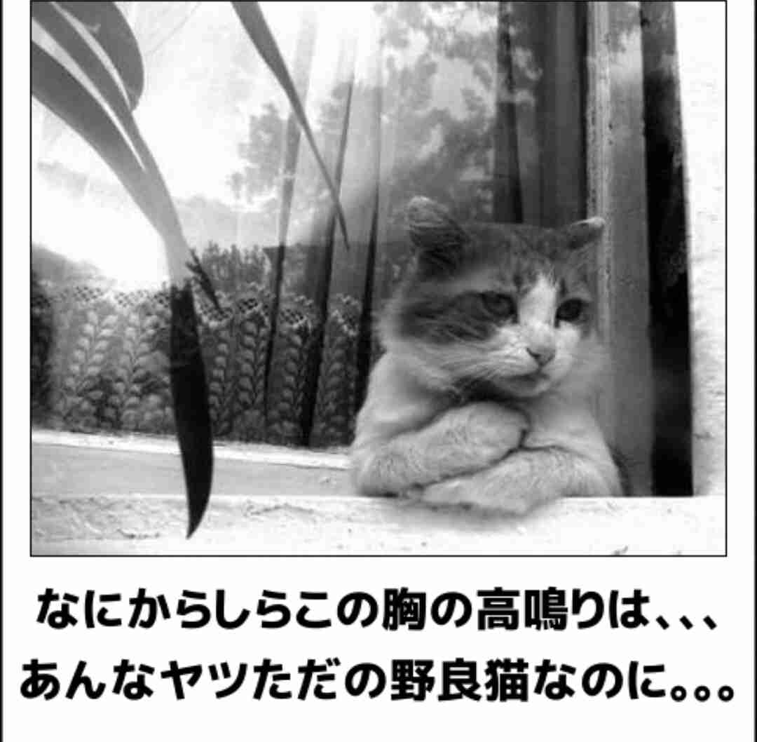夜中にひっそりと淡い恋愛の思い出を語りませんか？