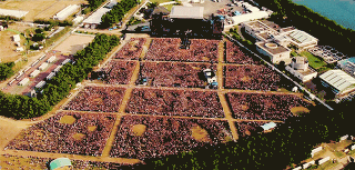 ワンオクTaka、森進一に“父の日”メッセージ「僕の頑張っている姿を末永く見て」