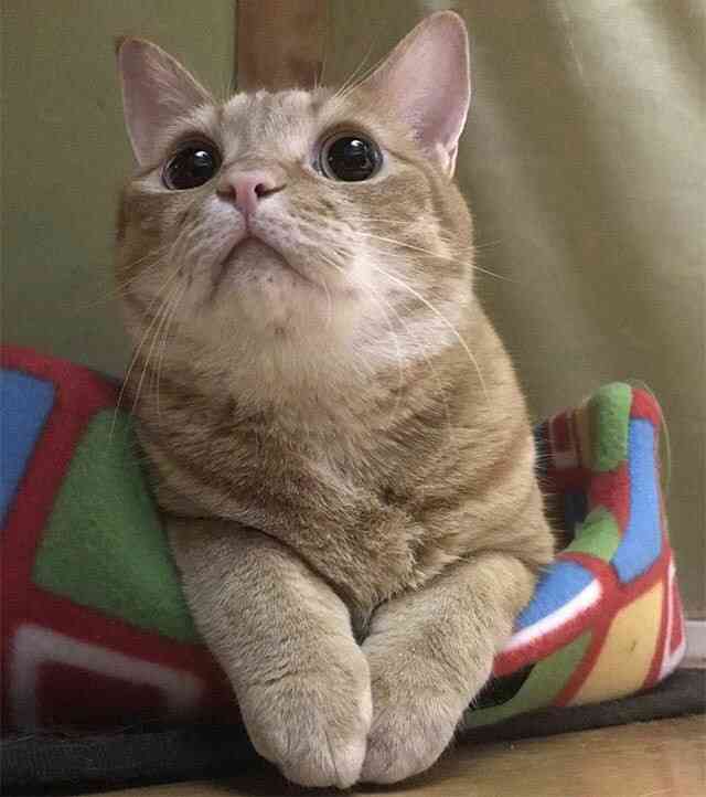 朝、家を出てから気付いたこと、思い出したこと。