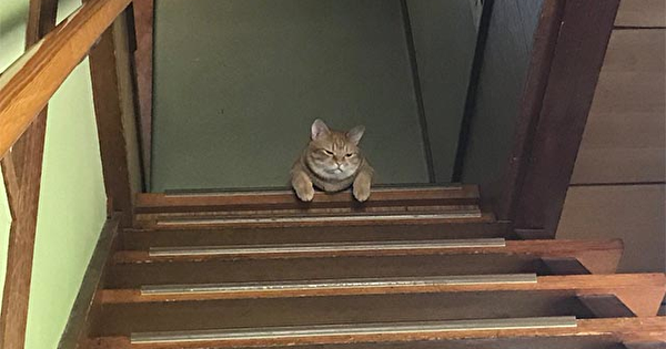 朝、家を出てから気付いたこと、思い出したこと。