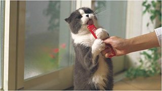 やったことあるモノマネにプラスするトピ