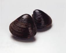 安倍チルドレン「豊田真由子」代議士の“絶叫暴行”を秘書が告発