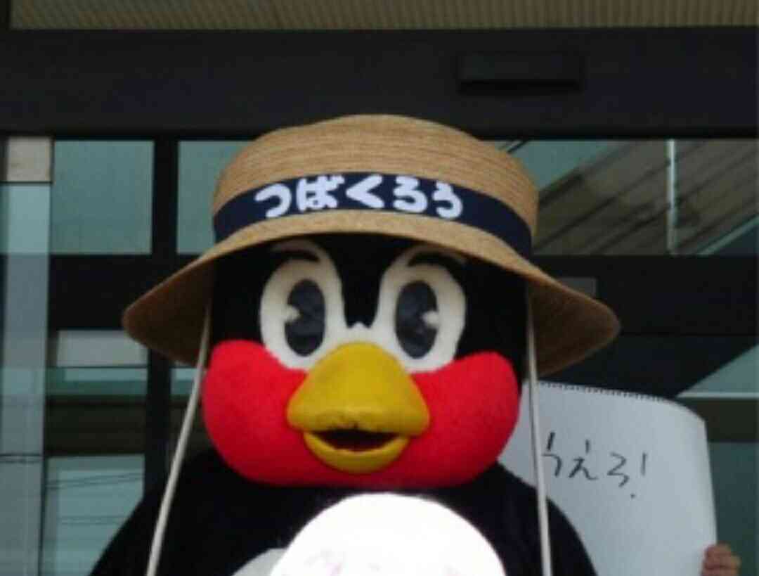色々な帽子がみたい