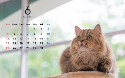 今月の雑談トピ【2017年6月】