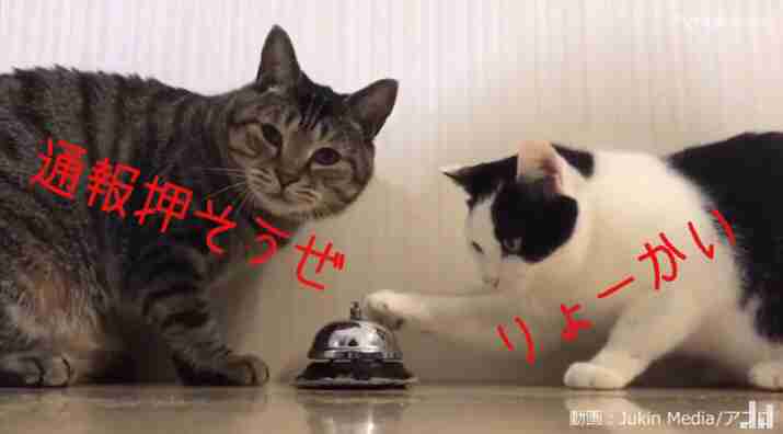 病気を患っている人にしかわからないこと