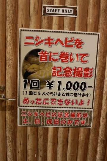 ピエリ守山「めっちゃさわれる動物園」で虐待疑惑　ライオンが流血、運営会社の飼育方法に疑問の声