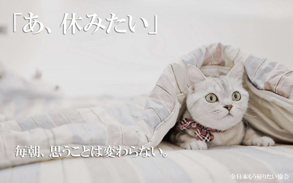 明日から仕事行きたくない人、せめて画像貼ってささやかな抵抗しましょう