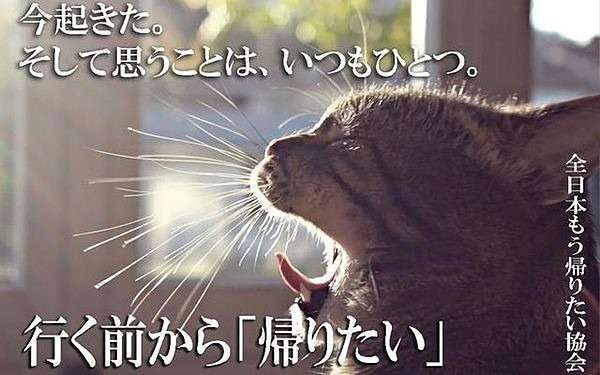 明日から仕事行きたくない人、せめて画像貼ってささやかな抵抗しましょう