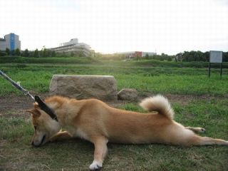 明日から仕事行きたくない人、せめて画像貼ってささやかな抵抗しましょう