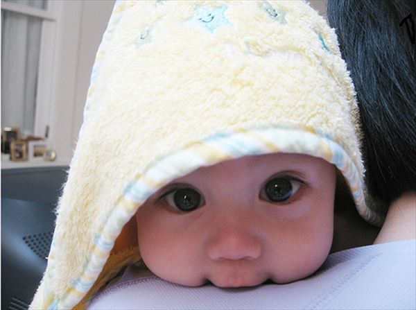 「かわいい！♡」とときめいたモノの画像を貼るトピ
