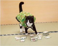 動物画像で時代劇を作るトピ