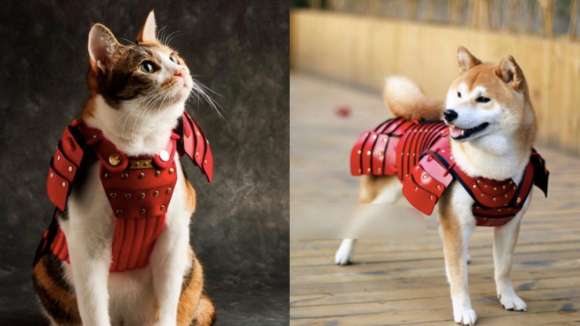 動物画像で時代劇を作るトピ