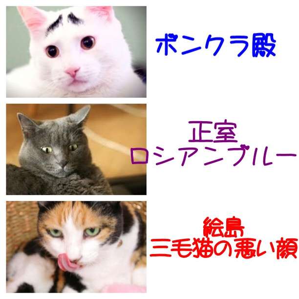 動物画像で時代劇を作るトピ
