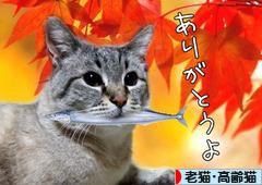 動物画像で時代劇を作るトピ