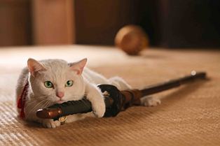 動物画像で時代劇を作るトピ