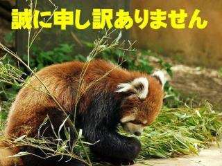動物画像で時代劇を作るトピ